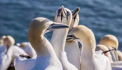 hth网页版-学训矛盾如何破解(小贴士)