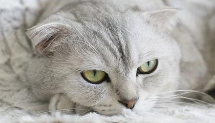 hth-中国U23男足回国受欢迎