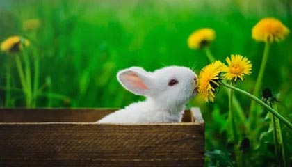 hth网页版-学训矛盾如何破解（小贴士）